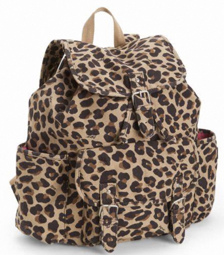 Aeropostale Bags for School: Stylish & Sturdy Picks插图3
