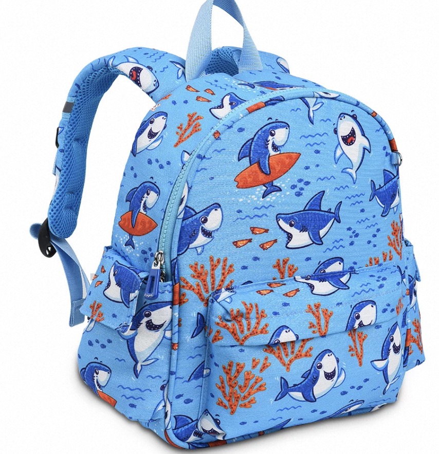 Toddler School Bags: Perfect Picks for Little Learners插图3