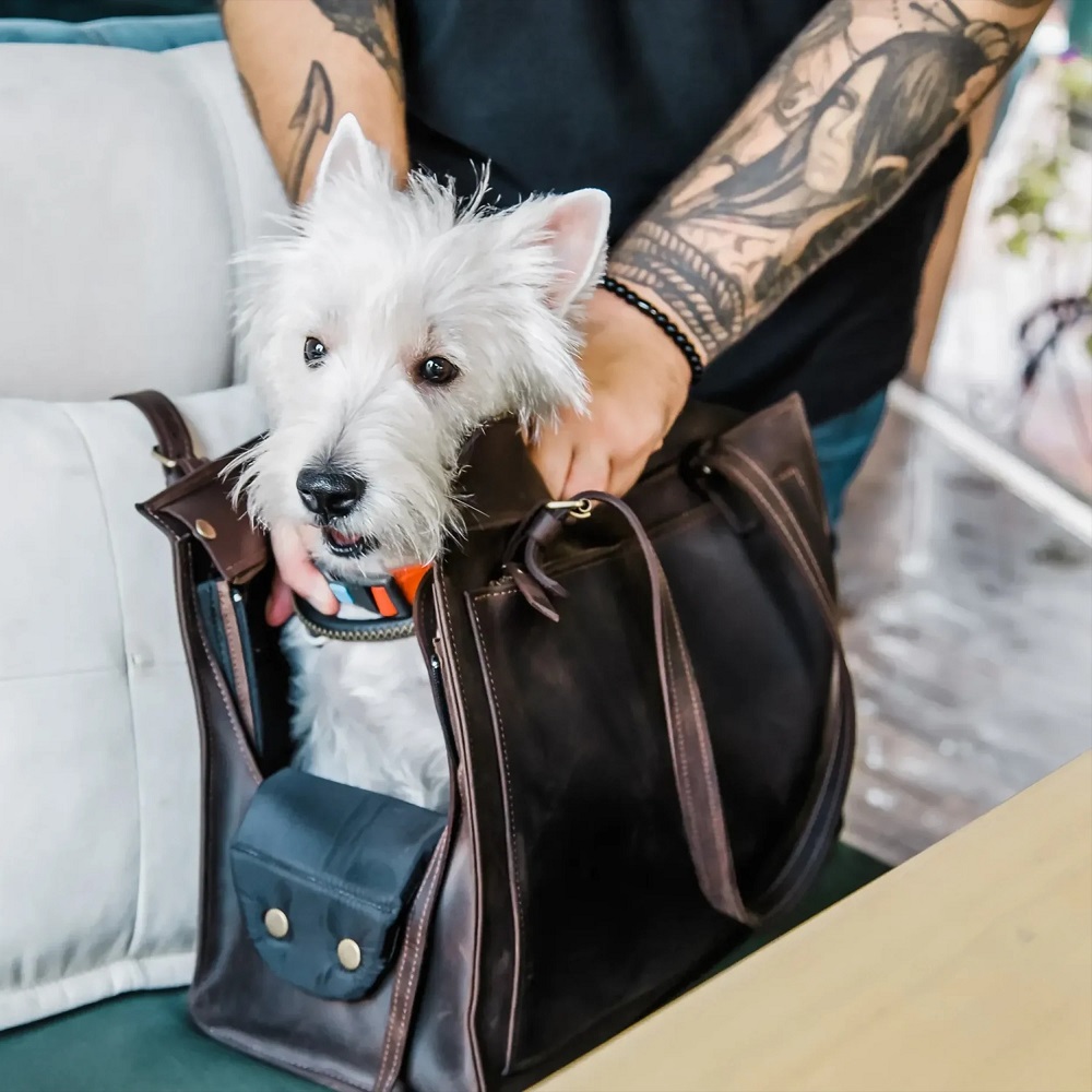 dog purse
